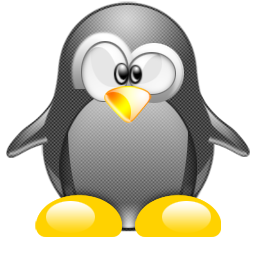 penguin pingouin pinguino 349